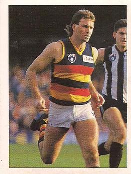 1992 Select AFL Stickers #23 Scott Hodges Front